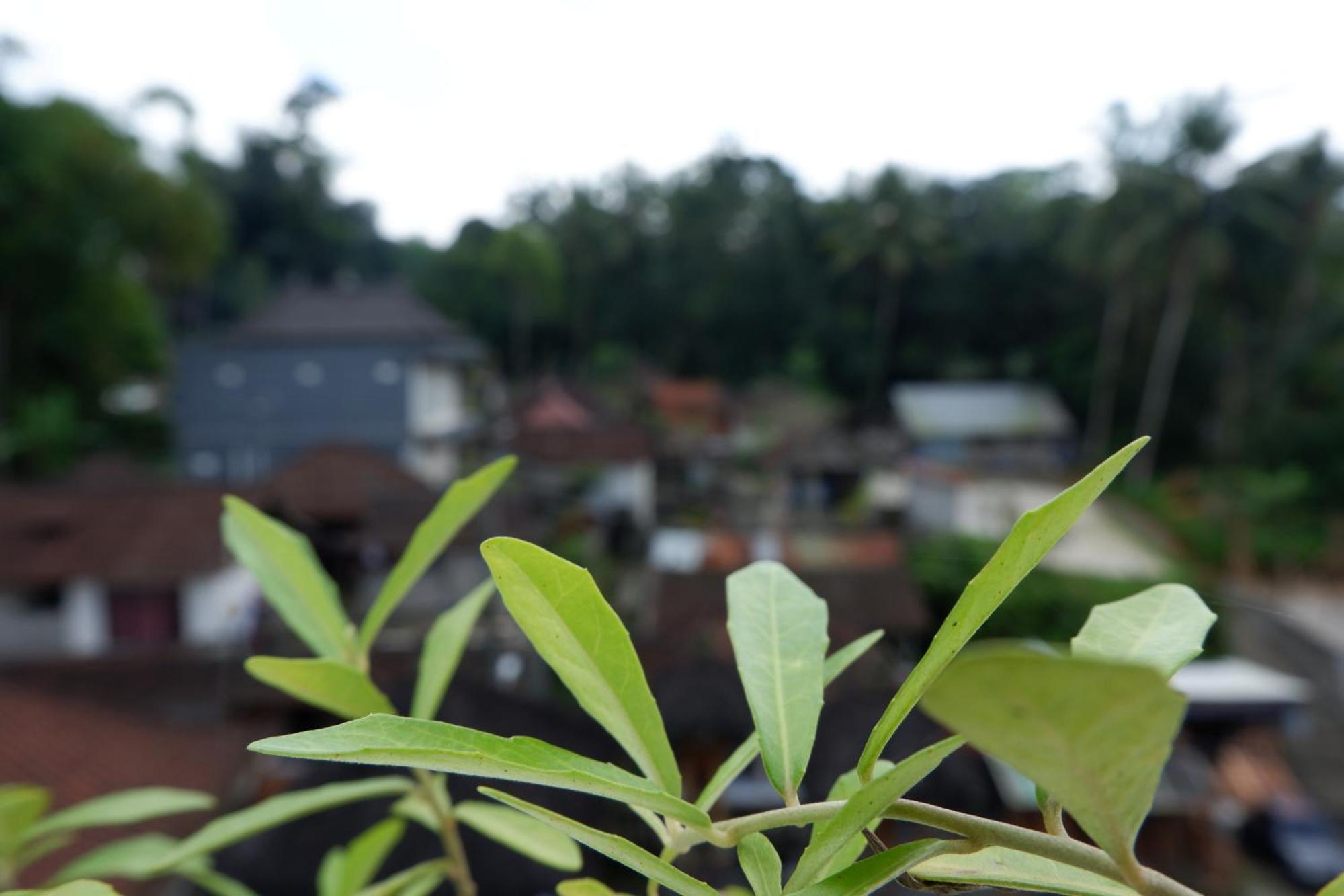 Ramaya Ubud View By Eps Exterior foto